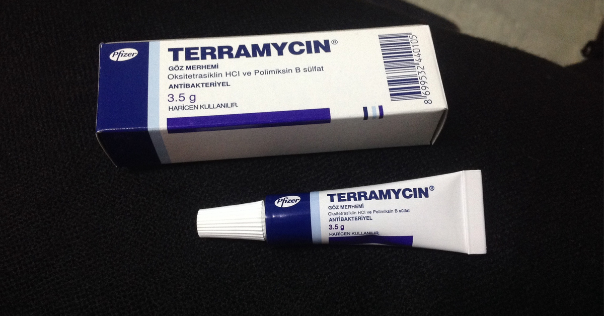 Kedilerde Enfeksiyona Ne İyi Gelir? 6 Terramycin Kremin Faydaları