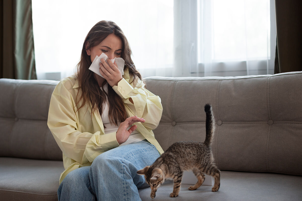 Kedi Tüyü ve Kürk Arasındaki Fark Nedir? 2 Kedi Tüyü ve Alerji