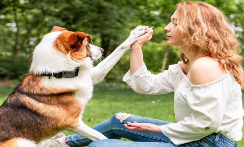 Köpek Beden Dili Davranışları ve Anlamları 1 Köpek Beden Dili Davranışları Ve Anlamları